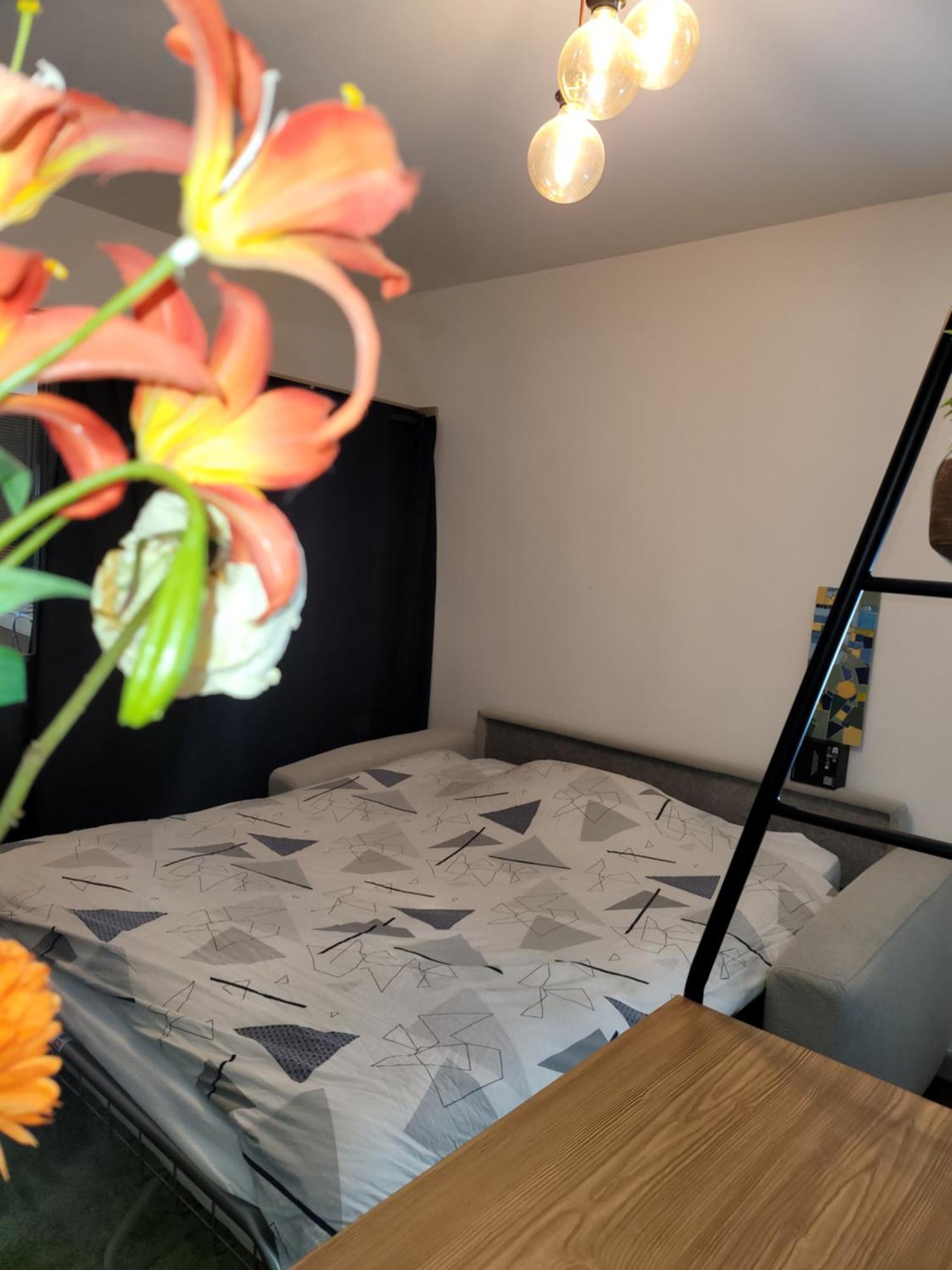 Apartment Cosy 21m2 Renove 75019 Paris